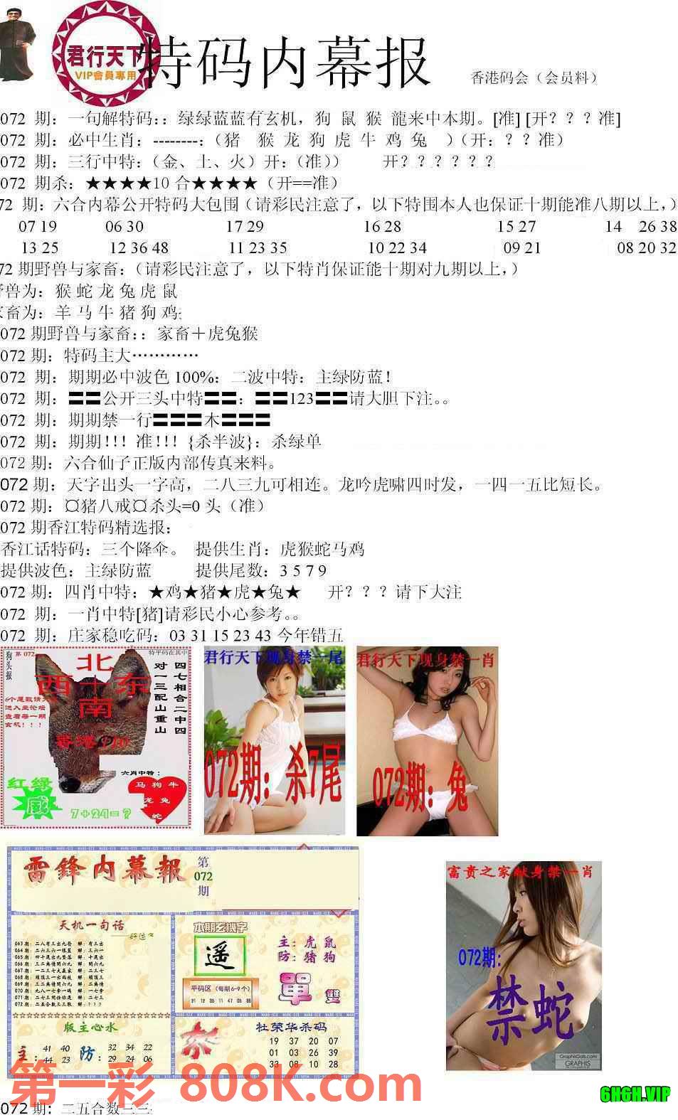 图片载入中...